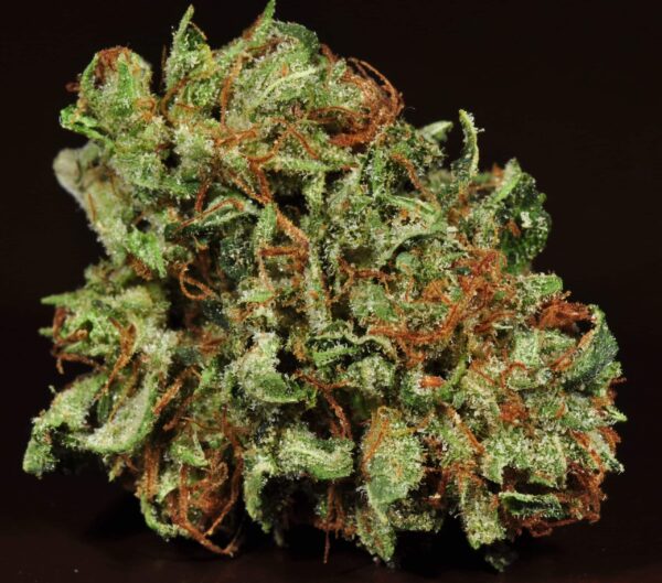 Chronic - Image 3