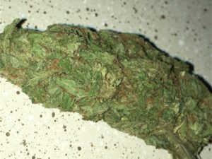 Chronic